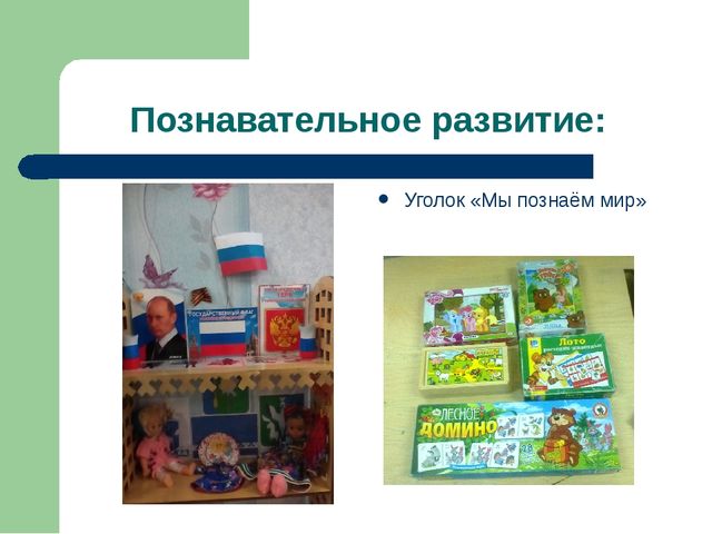 "Развивающая предметно пространственная среда в ДО"