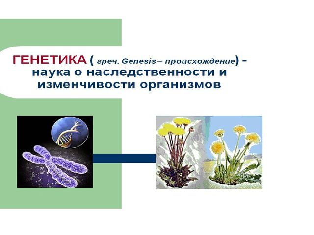 Презентация к выпускному балу на тему Путешествие к островам знаний