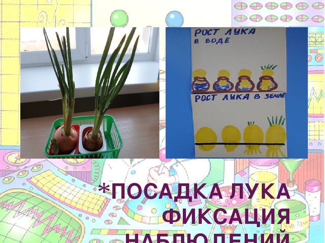 Презентация на тему "Познавательно-исследовательская деятельность в ДОУ"