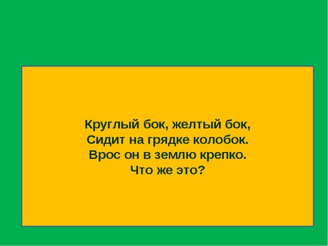 Презентация к занятию №1 Подготовка детей по математике к школе по книге Петерсон Л.Г. «Раз-ступенька, два-ступенька...»