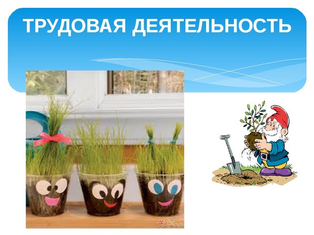 Презентация "Мой детский сад"