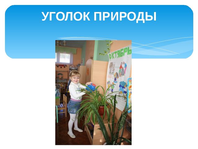 Презентация "Мой детский сад"