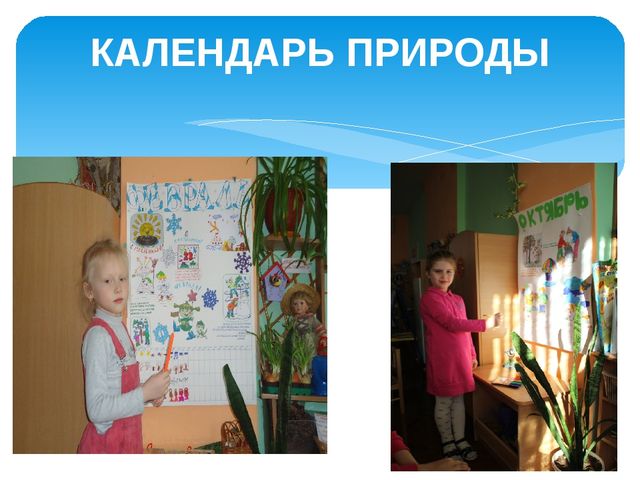 Презентация "Мой детский сад"