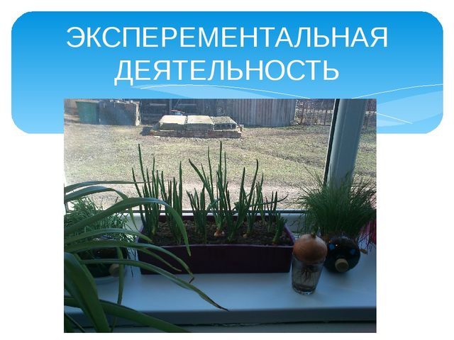Презентация "Мой детский сад"