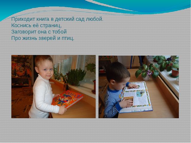 Презентация "Книга в детский сад"