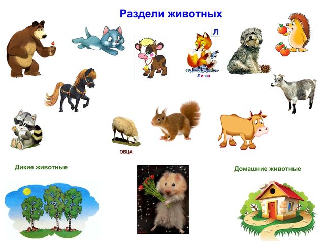 Презентация к итоговому занятию в старшей группе "По дорожкам радуги в подготовительную группу"