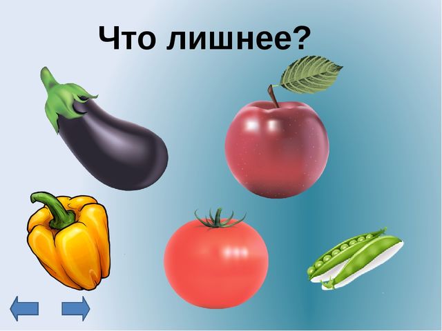 Электронное дидактическое пособие для дошкольников