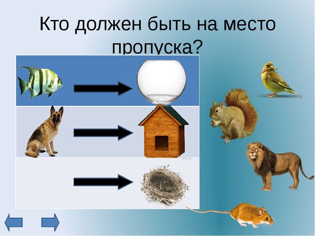 Электронное дидактическое пособие для дошкольников