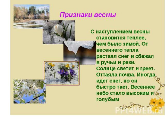 ПРЕЗЕНТАЦИЯ на тему "Весна"