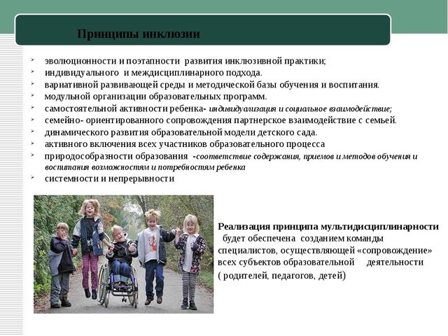 Презентация к статье "Инклюзивное образование в ДОУ"