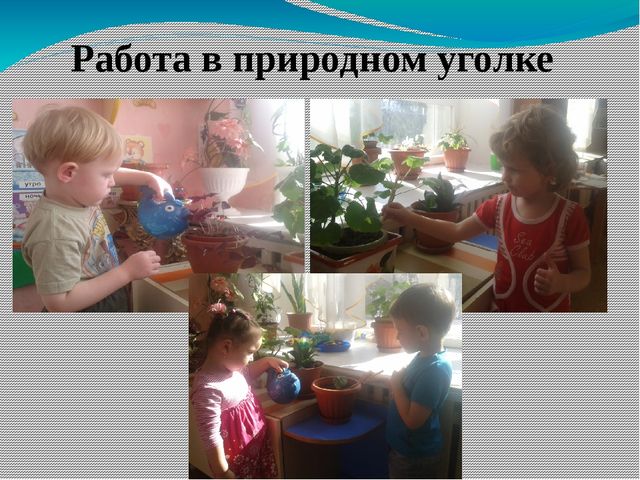 Презентация проекта по экологии "Свойство воды, камня и песка" ( 1 мл.гр.)