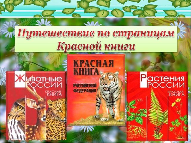 Презентация образовательного проекта "Прогулка в лес" (в помощь для молодых специалистов ДОУ)