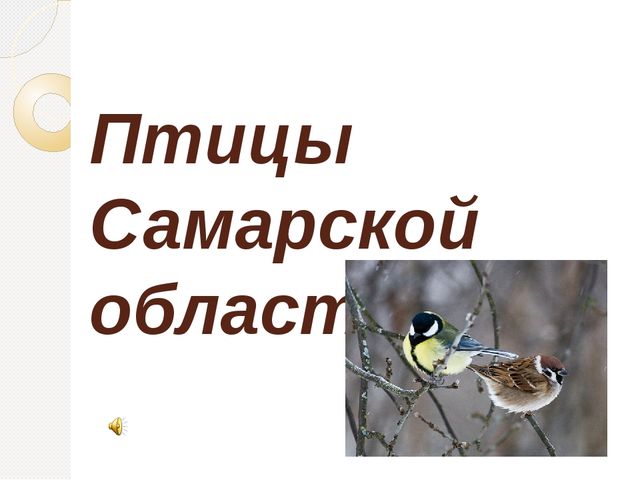Презентация для детей старшего дошкольного возраста на тему "Птицы Самарской области"