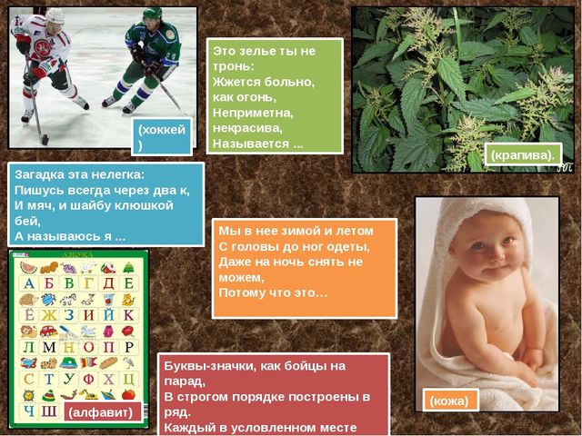 Презентация "Загадки" для занятий по развитию речи с детьми старшего дошкольного возраста.