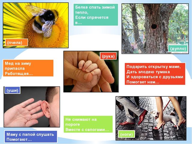 Презентация "Загадки" для занятий по развитию речи с детьми старшего дошкольного возраста.