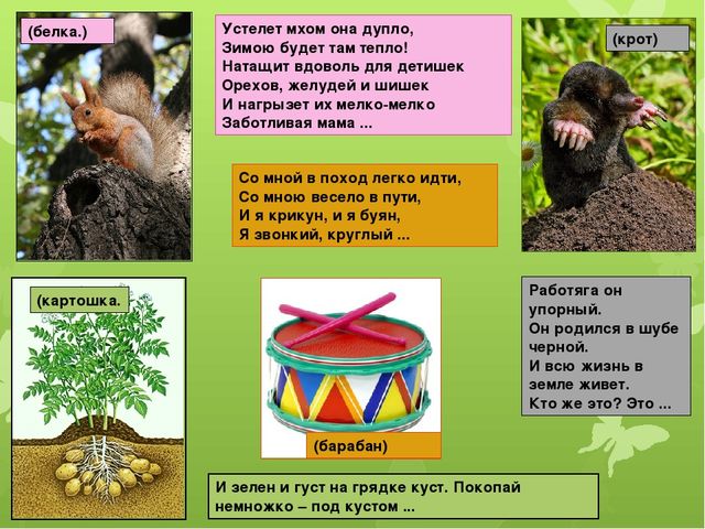 Презентация "Загадки" для занятий по развитию речи с детьми старшего дошкольного возраста.