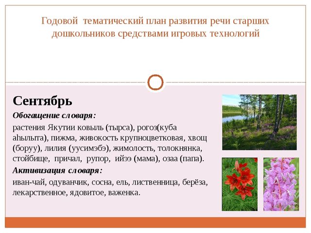Проект "Игровые технологии как средство развития речи дошкольников"
