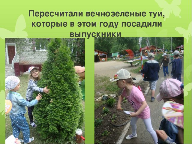 Презентация "День защиты окружающей среды в старшей группе"