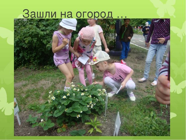 Презентация "День защиты окружающей среды в старшей группе"