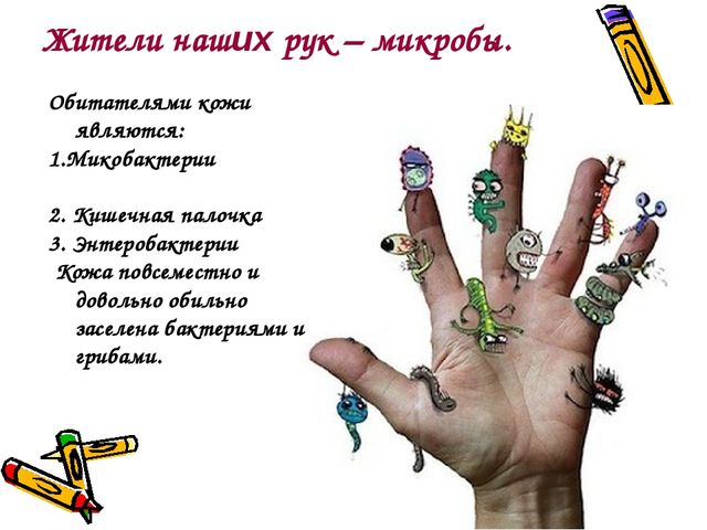 Проектная деятельность как одна из форм инновационной деятельности с детьми старшего дошкольного возраста