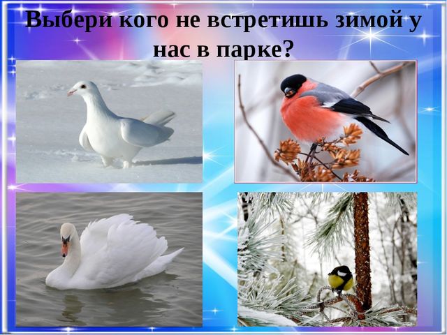 Презентация-викторина на тему: "Времена года. Когда это бывает?"
