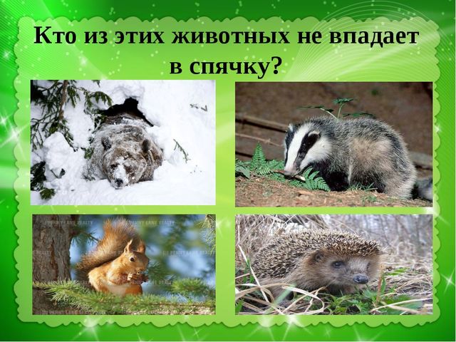 Презентация-викторина на тему: "Времена года. Когда это бывает?"