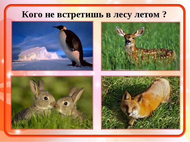 Презентация-викторина на тему: "Времена года. Когда это бывает?"