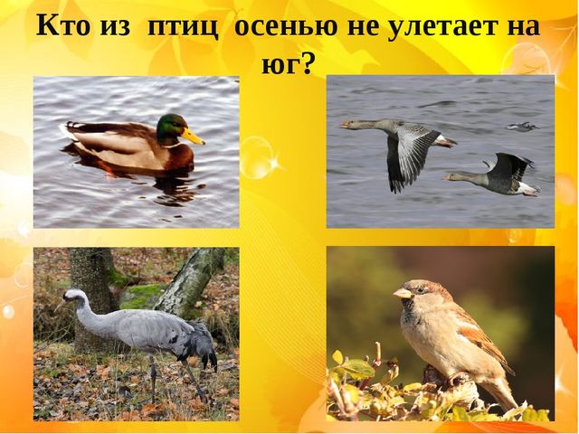 Презентация-викторина на тему: "Времена года. Когда это бывает?"