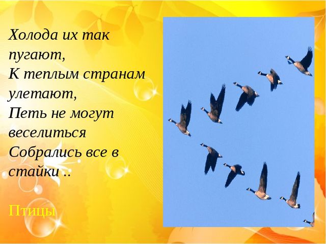 Презентация-викторина на тему: "Времена года. Когда это бывает?"