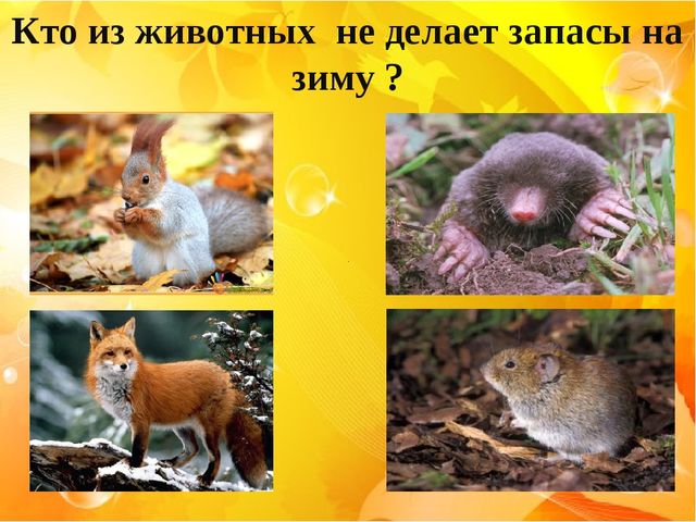 Презентация-викторина на тему: "Времена года. Когда это бывает?"