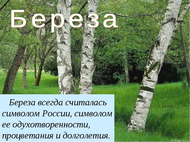 Презентация на тему - День России