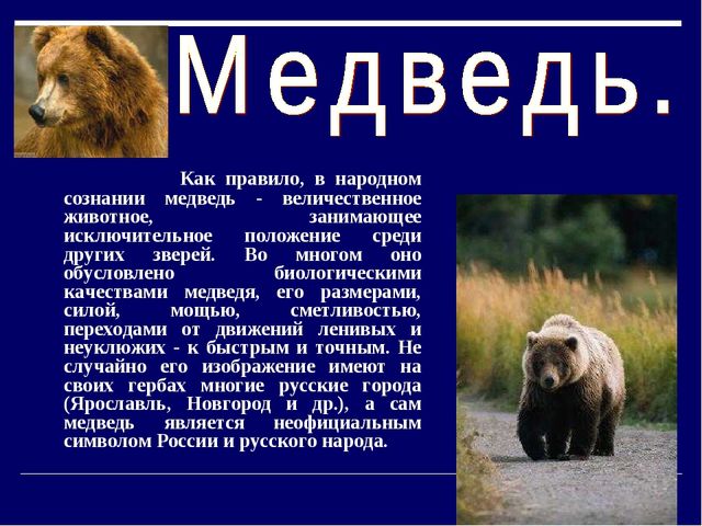 Презентация на тему - День России