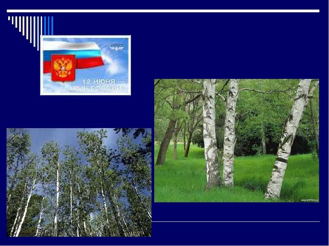 Презентация на тему - День России