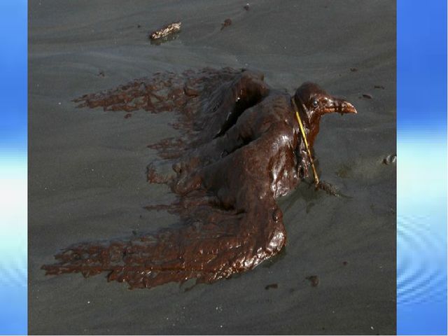 Презентация "Вода в жизни человека" к открытому занятию для старших дошкольников.