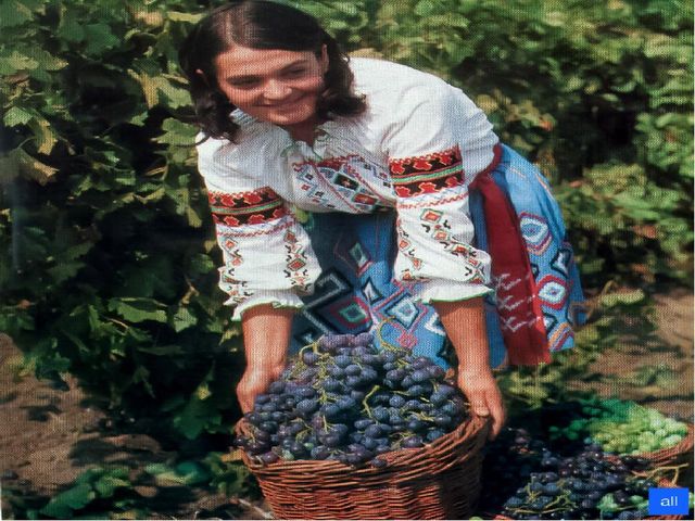 Презентация по патриотическому воспитанию в ДОУ.