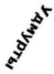 elv.JPG