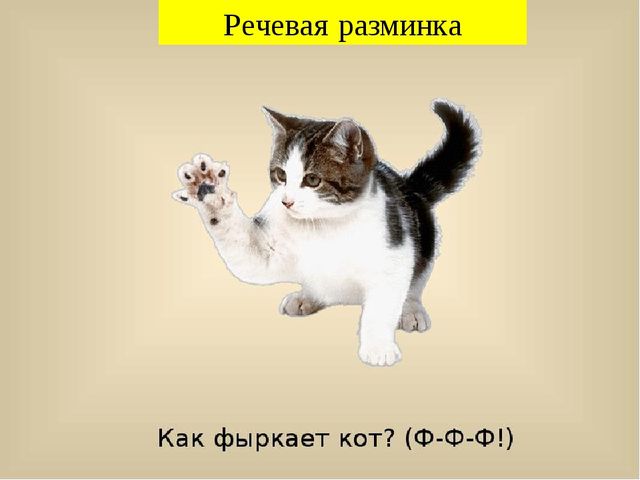 Занятие по предшкольной подготовке . Буква ф.