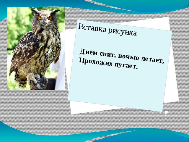 Занятие по предшкольной подготовке . Буква ф.
