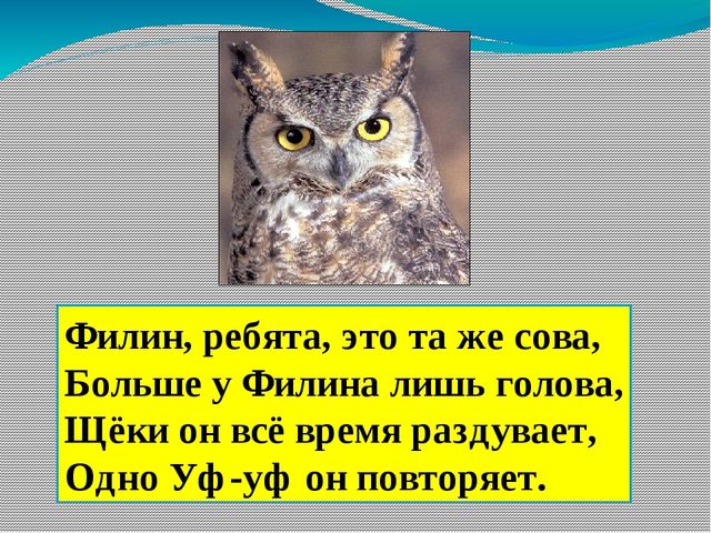 Занятие по предшкольной подготовке . Буква ф.