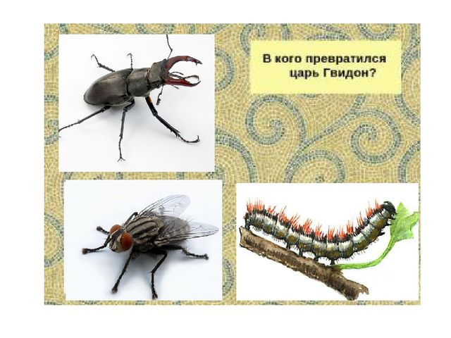 Презентация к викторине "Сказки Пушкина" вопрос-ответ