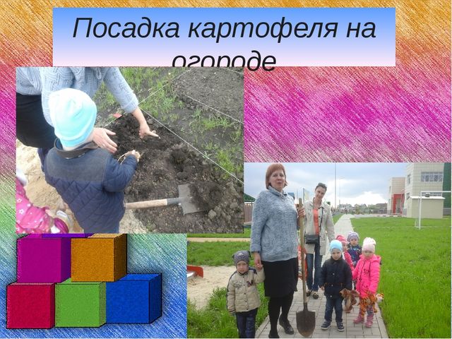 Аналитический отчет за 2015-2016 учебный год