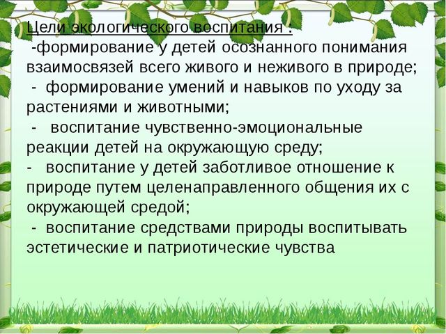 Презентация "Экологический уголок в ДОУ"