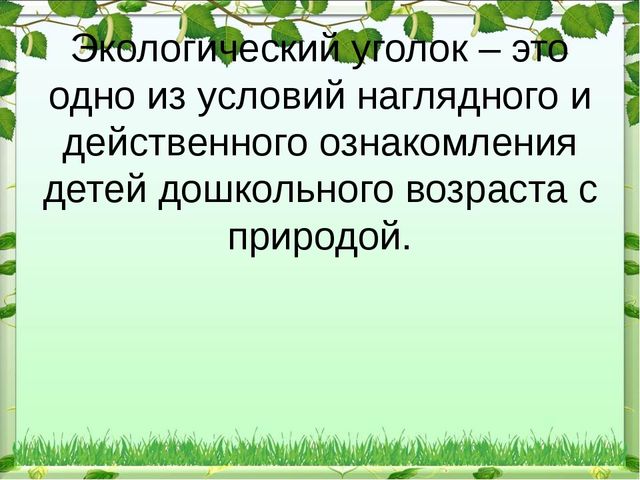 Презентация "Экологический уголок в ДОУ"