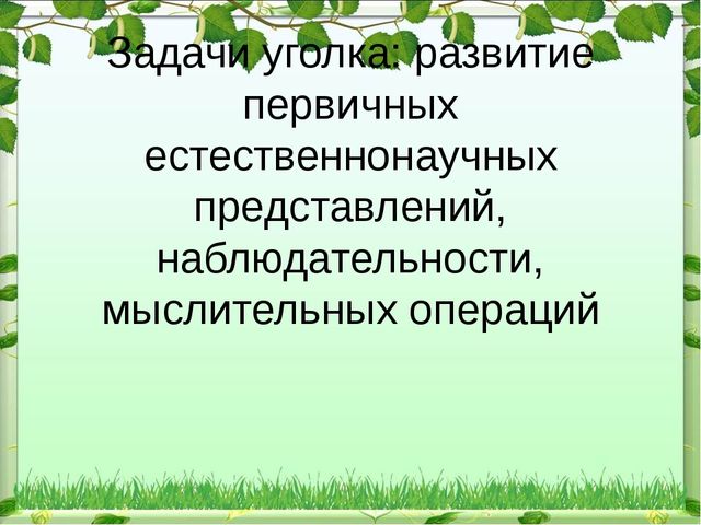 Презентация "Экологический уголок в ДОУ"