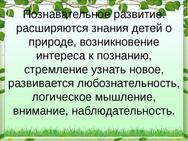 Презентация "Экологический уголок в ДОУ"