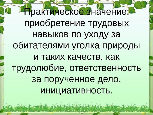 Презентация "Экологический уголок в ДОУ"