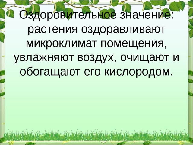 Презентация "Экологический уголок в ДОУ"