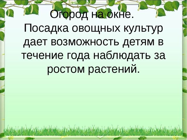 Презентация "Экологический уголок в ДОУ"