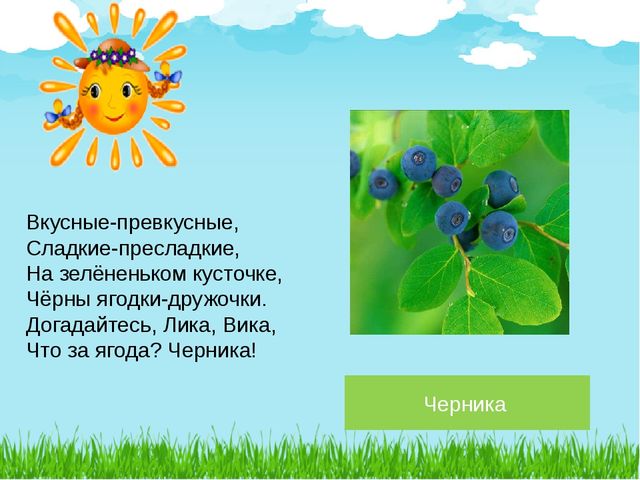 Презентация по познавательному развитию на тему "Лето в лесу" (Старшая группа)