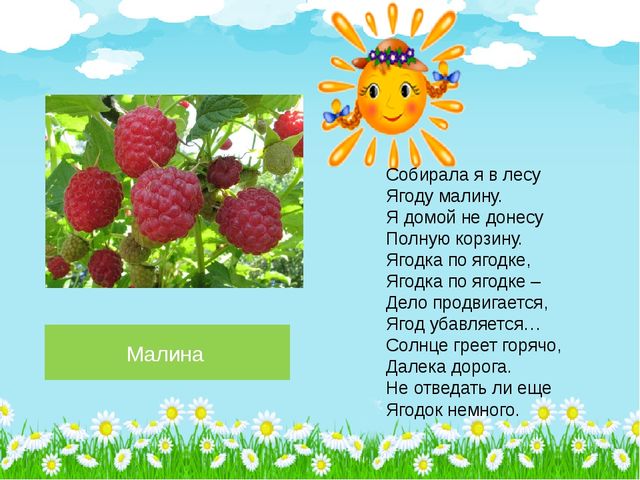 Презентация по познавательному развитию на тему "Лето в лесу" (Старшая группа)
